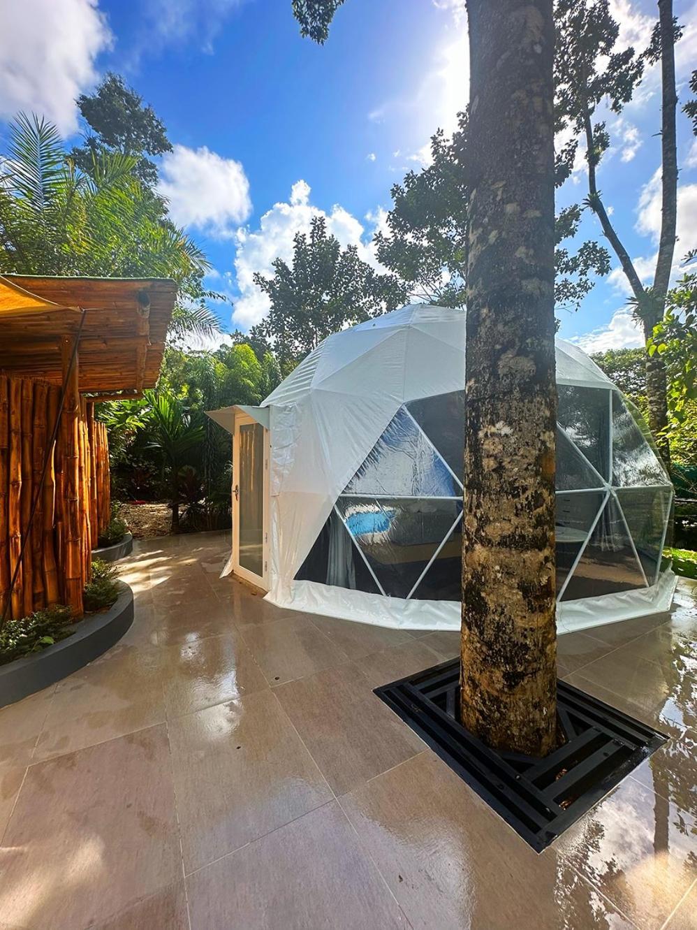 Palo Alto Glamping Hotel Quesada  الغرفة الصورة